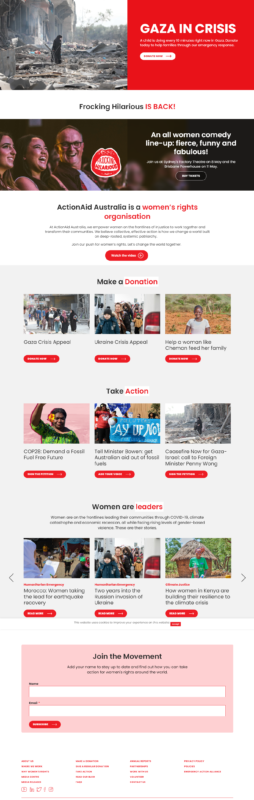 NGO Website Example