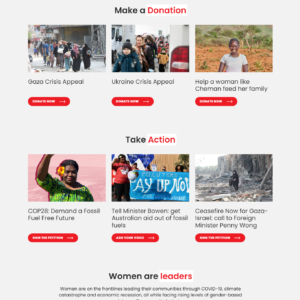 NGO Website Example