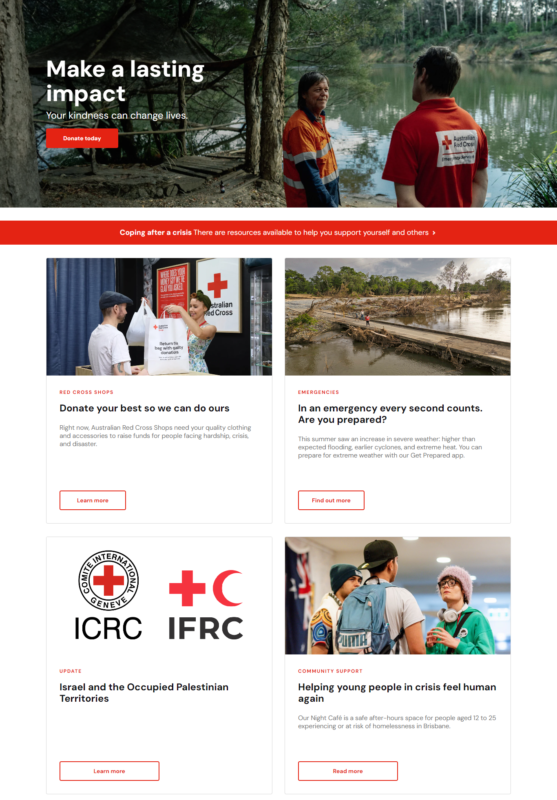 NGO Website Example